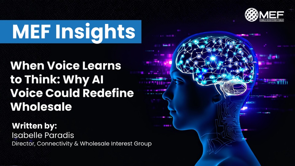  MEF Insight 